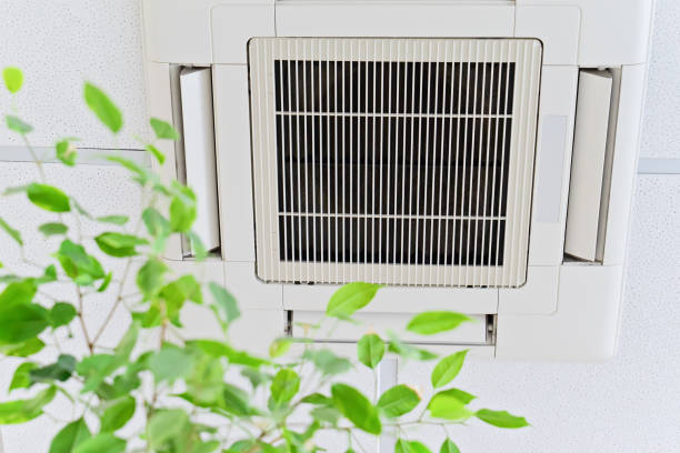 Best Home Air Vent Cleaning  in North Valley Stream, NY